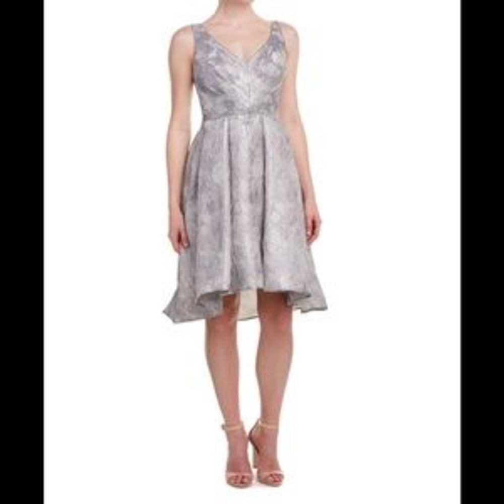 Eva Franco Platinum Fit and Flare Dress